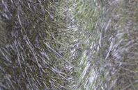 Lydford fibreglass roof work